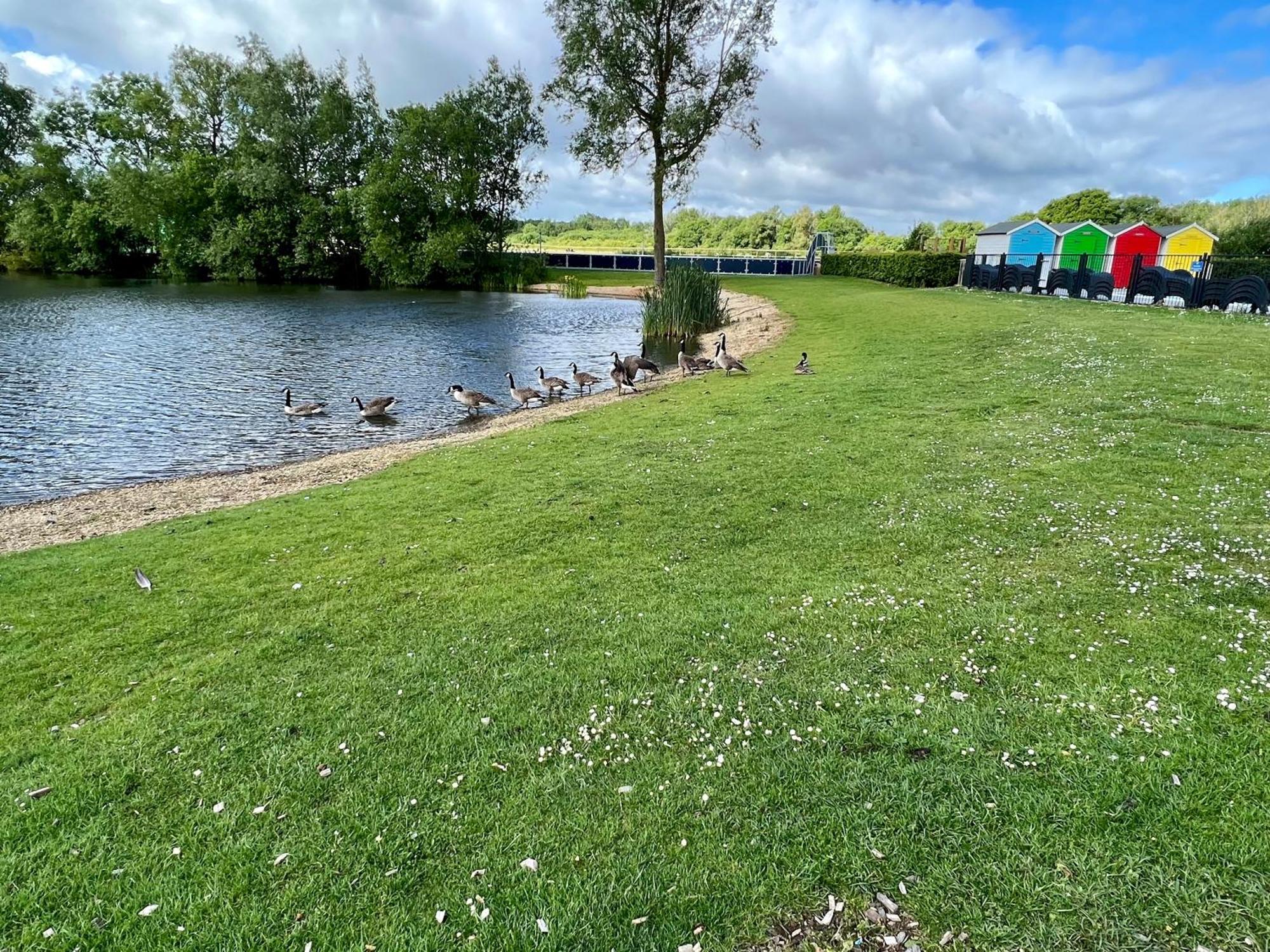 Cottontail Lodge - Hot Tub - Pet Friendly South Cerney Extérieur photo